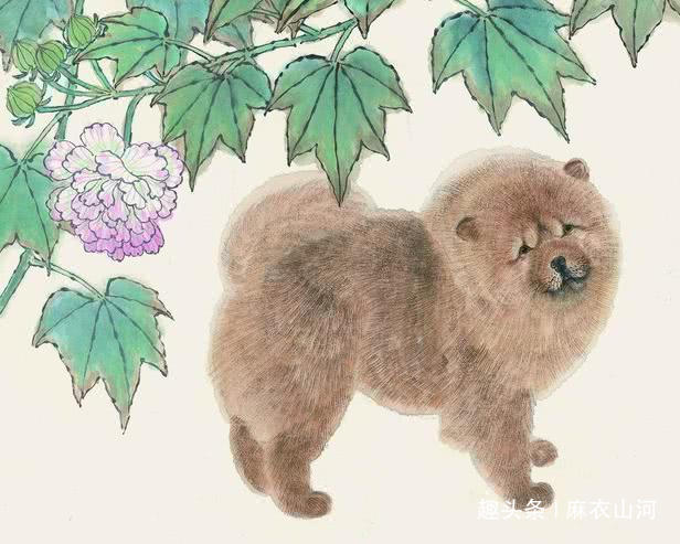 猪朋狗友打一个正确生肖,警惕虚假宣传落实,实时解答解释落实